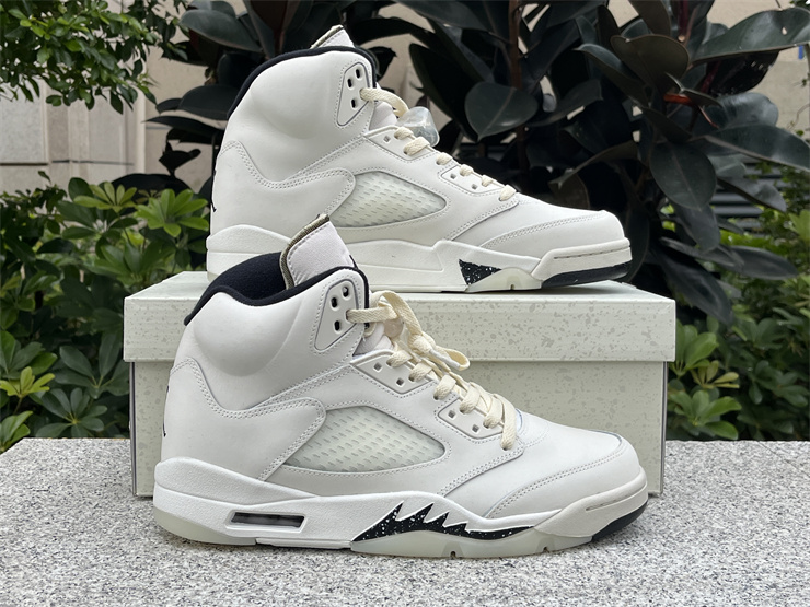 Air Jordan 5 SE Sail