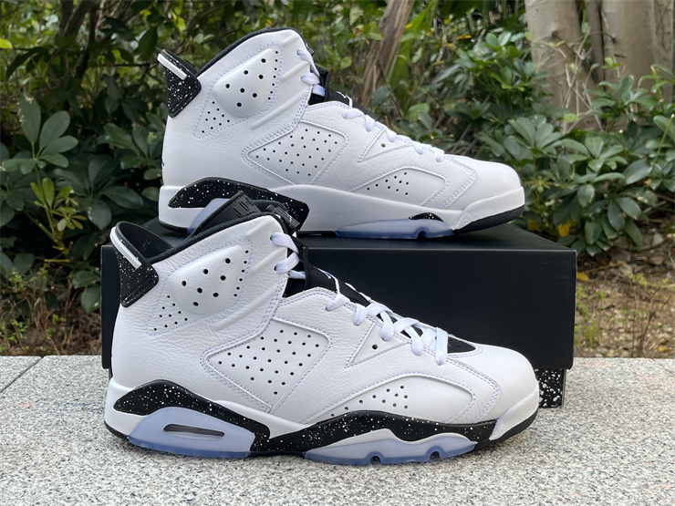 Air Jordan 6 Reverse Oreo CT8529-112