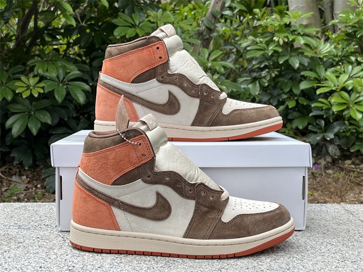 Air Jordan 1 High Cacao Wow Sand Drift