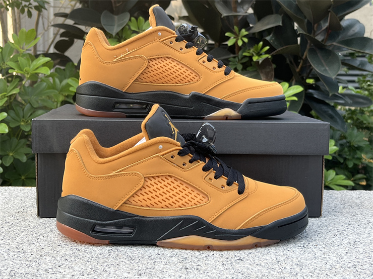 Air Jordan 5 Low Chutney DA8016‑700