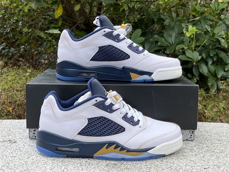 Air Jordan 5 Retro Low Dunk From Above